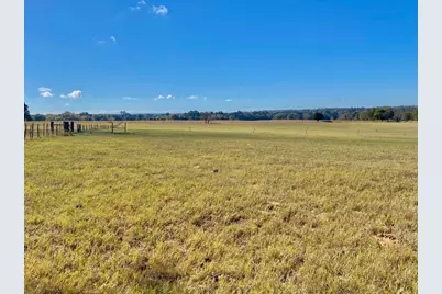 485 Private Road 6142, Grapeland, TX 75844 - Photo 30