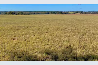 485 Private Road 6142, Grapeland, TX 75844 - Photo 28