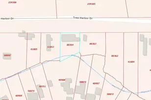 537 Tree Harbor Dr, Onalaska, TX 77360 - Photo 16