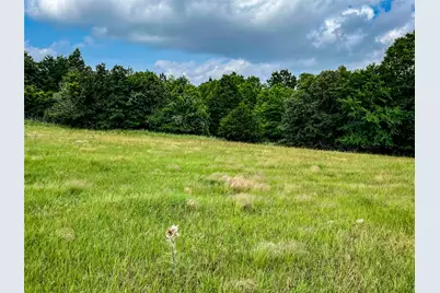 5.6 Acres Highway 19, Trinity, TX 75862 - Photo 2