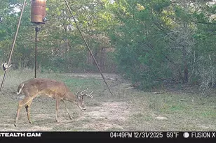 1873 Co Rd 136A, Hallettsville, TX 77964 - Photo 16