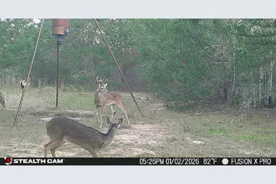 1873 County Road 136A, Hallettsville, TX 77964 - Photo 28