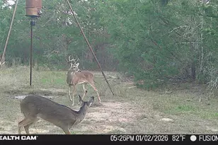 1873 Co Rd 136A, Hallettsville, TX 77964 - Photo 28