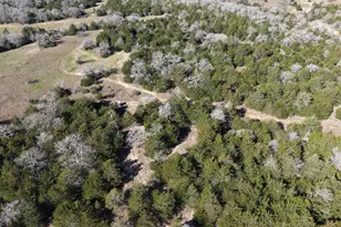 1873 Co Rd 136A, Hallettsville, TX 77964 - Photo 24