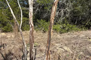 1873 Co Rd 136A, Hallettsville, TX 77964 - Photo 34