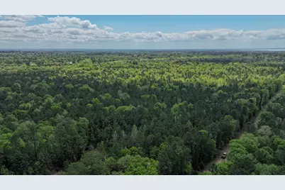 Tbd 00 Fm 2457, Livingston, TX 77351 - Photo 12