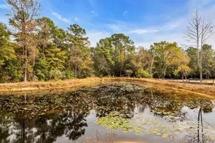 28414 Dobbin-Huffsmith Rd, Magnolia, TX 77354 - Photo 38