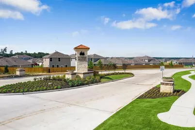 25914 Northpark Birch Drive, Porter, TX 77365 - Photo 34