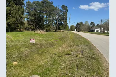 803 Lizzie Lane, Tomball, TX 77375 - Photo 4