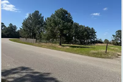 803 Lizzie Lane, Tomball, TX 77375 - Photo 2