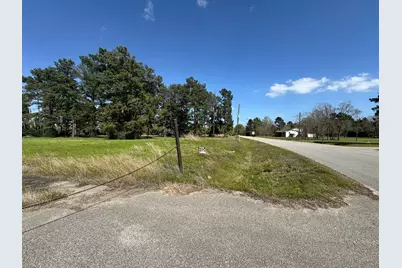 803 Lizzie Lane, Tomball, TX 77375 - Photo 8