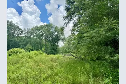 1000 Butler Road, Vidor, TX 77662 - Photo 2