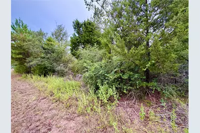 0 Cotton Tail Drive, Waller, TX 77484 - Photo 6