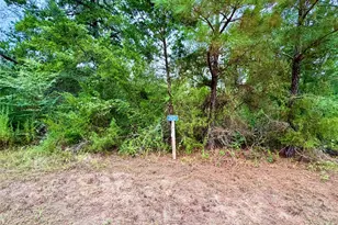 0 Cotton Tail Dr, Waller, TX 77484 - Photo 1