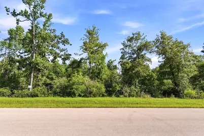 294 Iron Horse Road, Willis, TX 77378 - Photo 2