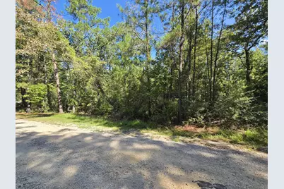 201 Idlewood Ct, Brookeland, TX 75931 - Photo 4