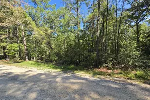 201 Idlewood Ct, Brookeland, TX 75931 - Photo 4