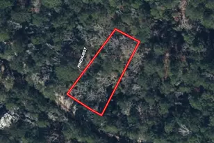 201 Idlewood Ct, Brookeland, TX 75931 - Photo 6