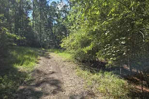 201 Idlewood Ct, Brookeland, TX 75931 - Photo 1