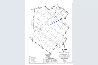 194 Iron Horse Road, New Waverly, TX 77358 - Photo 4