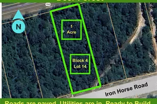 194 Iron Horse Rd, New Waverly, TX 77358 - Photo 1