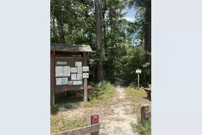 0 Cottonwood, Montgomery, TX 77356 - Photo 10