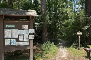 0 Cottonwood, Montgomery, TX 77356 - Photo 10