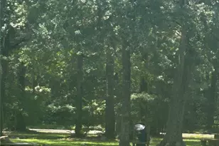 0 Cottonwood, Montgomery, TX 77356 - Photo 8