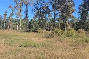 Tract C-4 Gaff Rd, Magnolia, TX 77355 - Photo 1