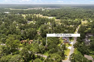 13115 Chavile, Cypress, TX 77429 - Photo 42
