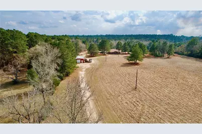 6161 County Road 3385, Lovelady, TX 75851 - Photo 10