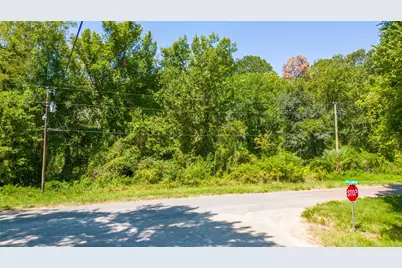 Tbd Royal Creek Road, Conroe, TX 77303 - Photo 4