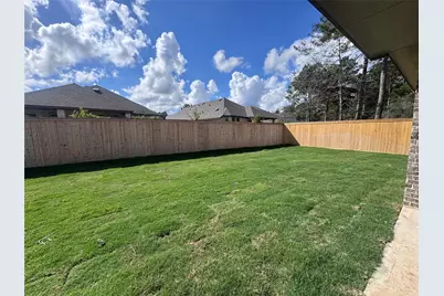 26779 Frontier Trace Drive, Montgomery, TX 77316 - Photo 4