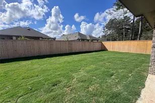 26779 Frontier Trace Drive, Montgomery, TX 77316 - Photo 4