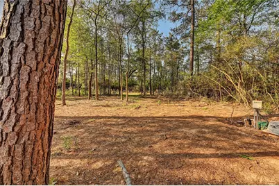 7996 Tawnyberry Lane, Plantersville, TX 77363 - Photo 36