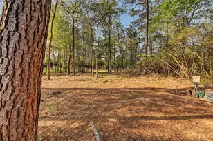 7996 Tawnyberry Ln, Plantersville, TX 77363 - Photo 36