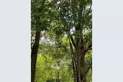 5811 Gresham Street, Wallis, TX 77485 - Photo 1