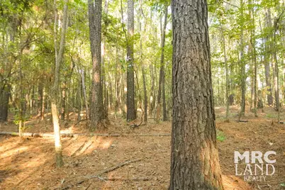 00 Crocker Road, Milam, TX 75959 - Photo 24