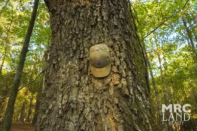 00 Crocker Road, Milam, TX 75959 - Photo 22