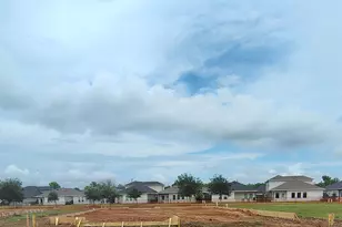 117 Water Grass Trl, Clute, TX 77531 - Photo 22