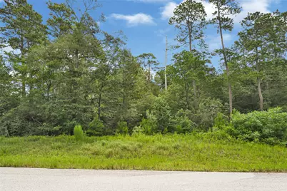 177 Brahman Lane, Huntsville, TX 77340 - Photo 2