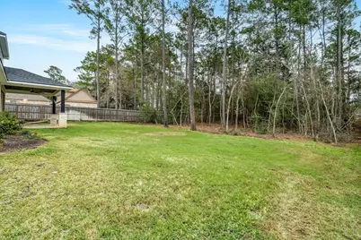 245 E Blue Heron Drive, Montgomery, TX 77316 - Photo 30