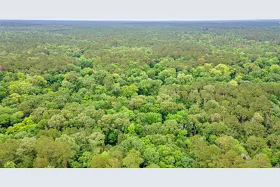 12572 Royal Creek Road, Conroe, TX 77303 - Photo 2