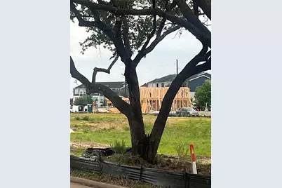 14729 Blooming Jasmine Trail, Houston, TX 77082 - Photo 8