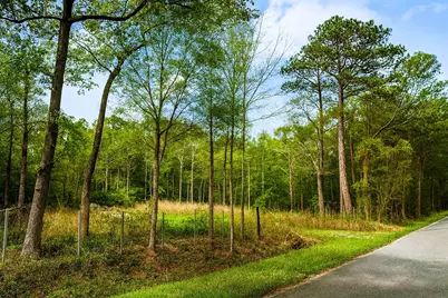 21289 Walker Drive, Conroe, TX 77306 - Photo 10