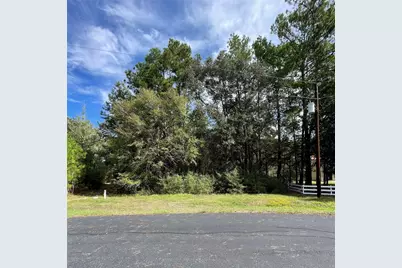 29340 Clydesdale Drive, Waller, TX 77484 - Photo 6