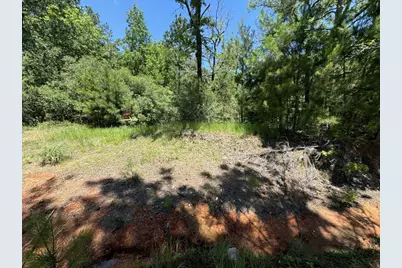 233 Flynn Lane, Trinity, TX 75862 - Photo 2