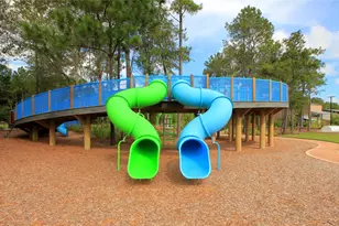 17003 Sweet Iris Ct, Conroe, TX 77302 - Photo 4