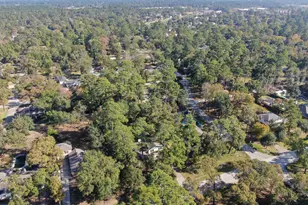 26206 Maplewood Dr, Spring, TX 77386 - Photo 46