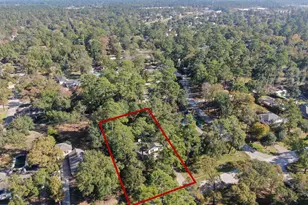 26206 Maplewood Dr, Spring, TX 77386 - Photo 44